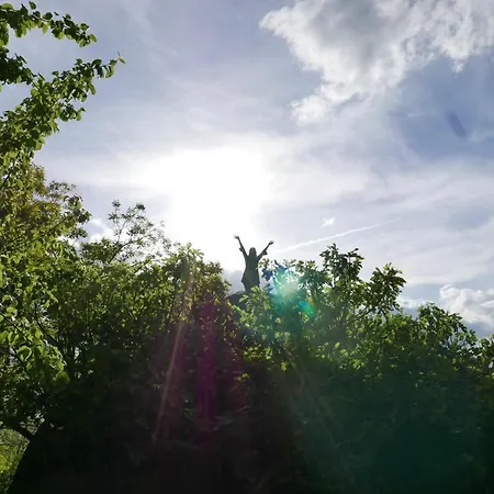 Quinta De Sao Pedro De Vir-a-corca Em