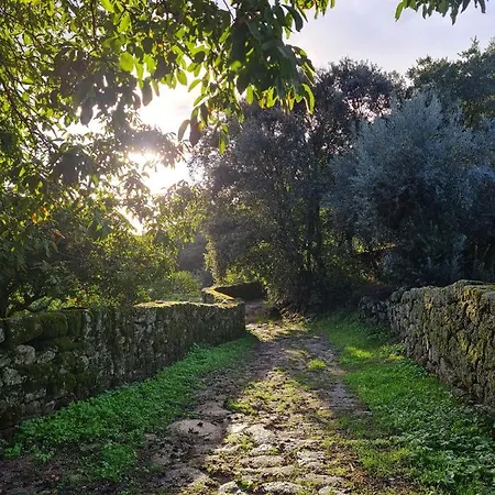 Quinta De Sao Pedro De Vir-a-corca Em *