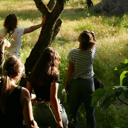 Quinta De Sao Pedro De Vir-a-corca Em Bed & Breakfast Monsanto