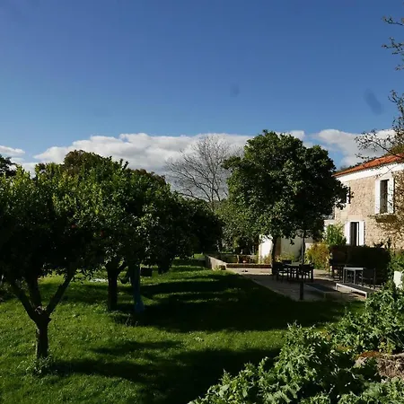 Quinta De Sao Pedro De Vir-a-corca Em Monsanto