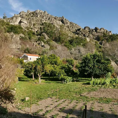 Quinta De Sao Pedro De Vir-a-corca Em *
