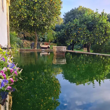 Bed & Breakfast Quinta De Sao Pedro De Vir-a-corca Em *