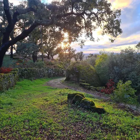 Quinta De Sao Pedro De Vir-a-corca Em *