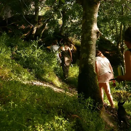 Quinta De Sao Pedro De Vir-a-corca Em * Monsanto