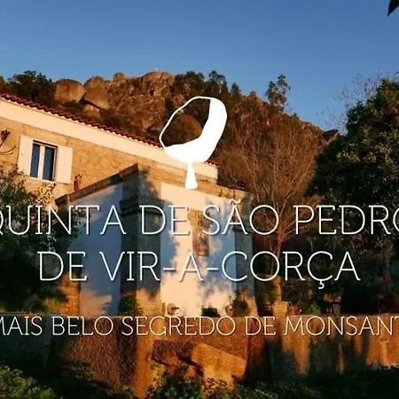 Quinta De Sao Pedro De Vir-a-corca Em