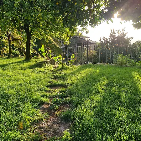 Quinta De Sao Pedro De Vir-a-corca Em فندق مبيت وإفطار