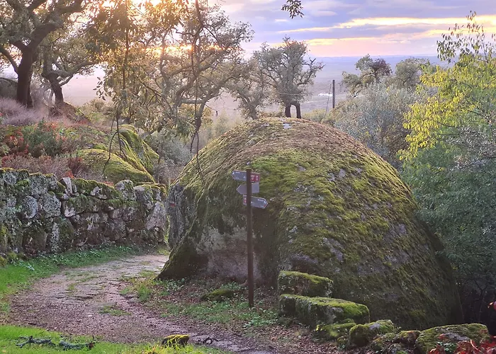 Quinta De São Pedro De Vir-a-corça Em 3* Monsanto